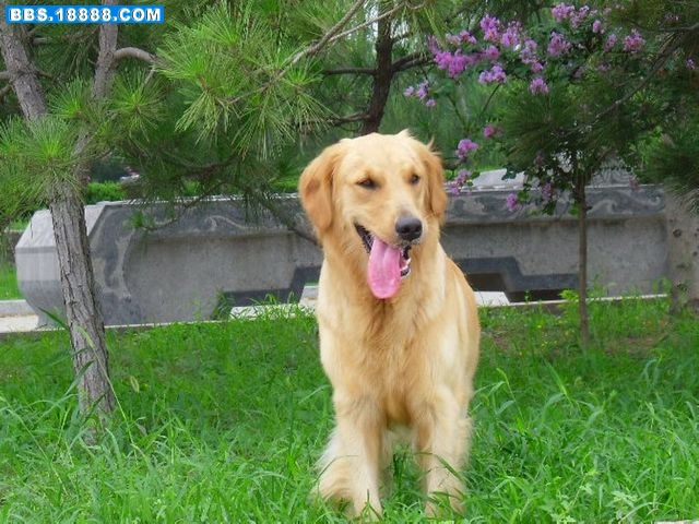 SAM_0084.jpg