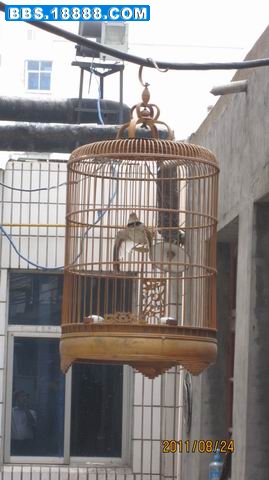 调整大小 旋转 IMG_3100.JPG