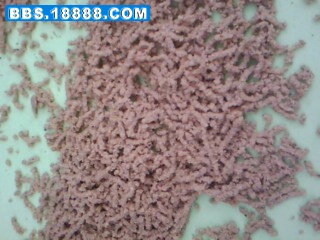 IMG00090.jpg