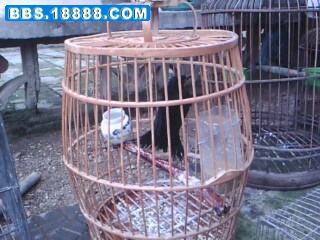 IMG00084.jpg