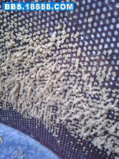 IMG00091.jpg