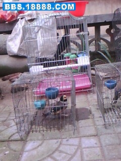 IMG00080.jpg