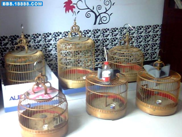 图片 015.jpg