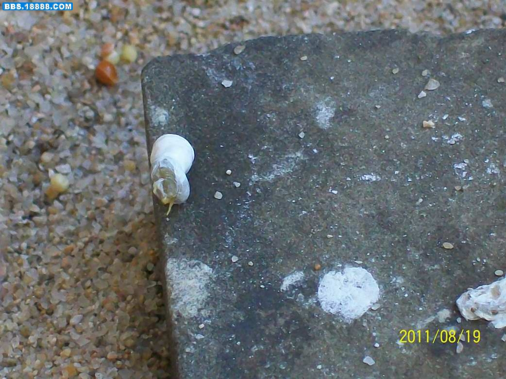 100_2546.JPG