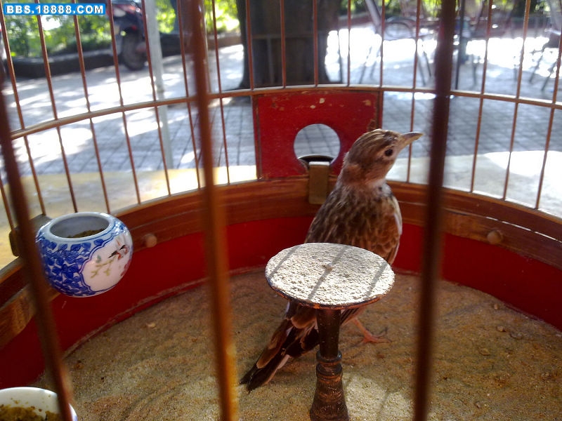 20110823008.jpg