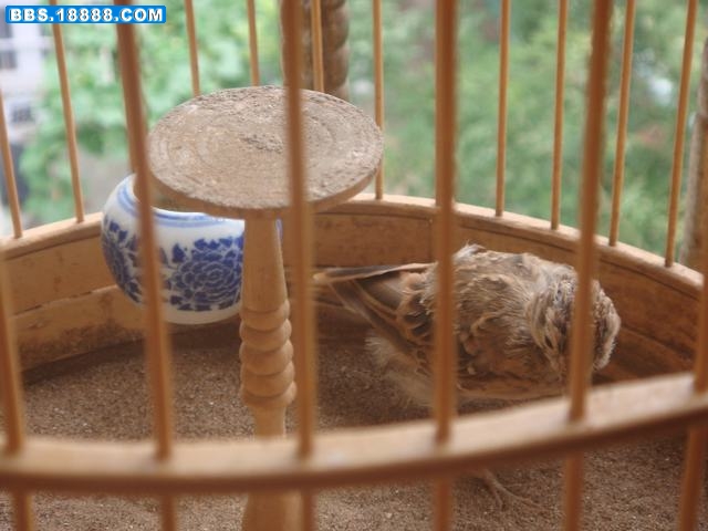 DSC03384.JPG