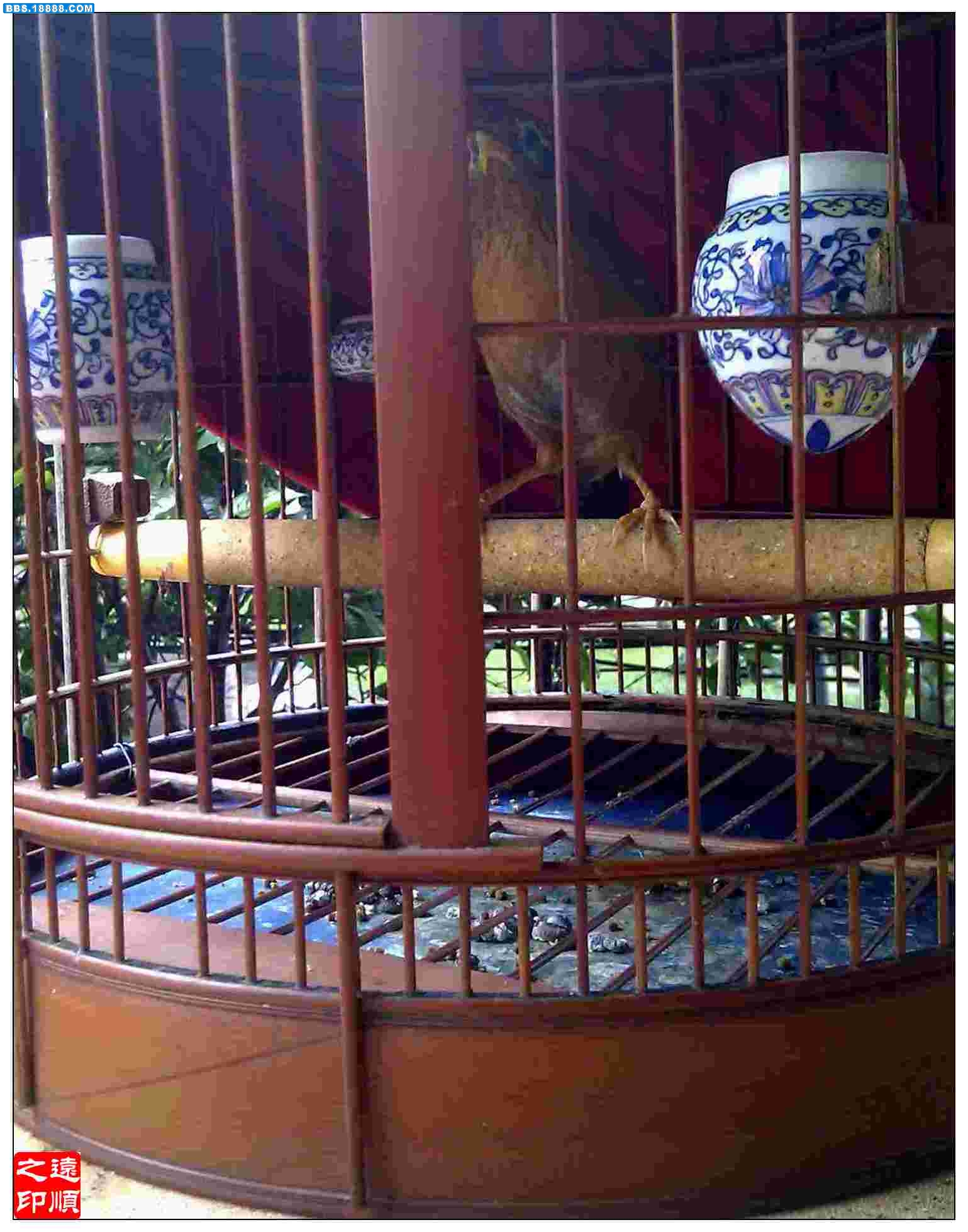 IMAG0456.jpg