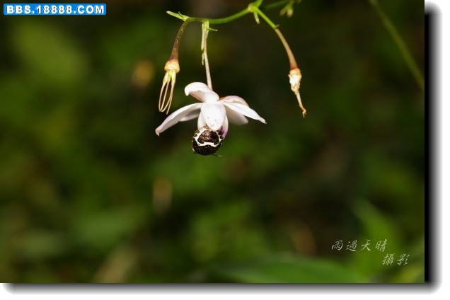 conew_dpp_0013.jpg