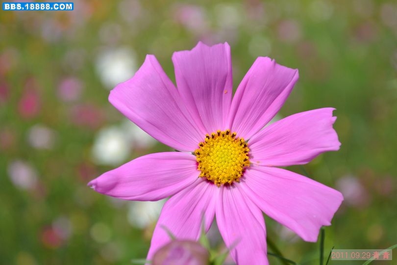 nEO_IMG_DSC_0046.jpg