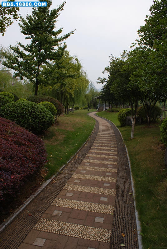 秋-路.jpg
