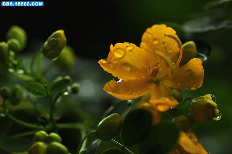 2011.9.19 052.jpg