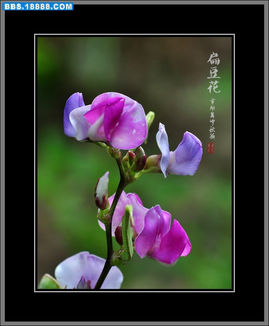2011.9.14 062.jpg
