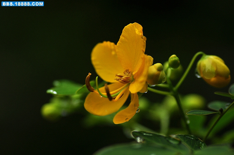 2011.9.19 018.jpg