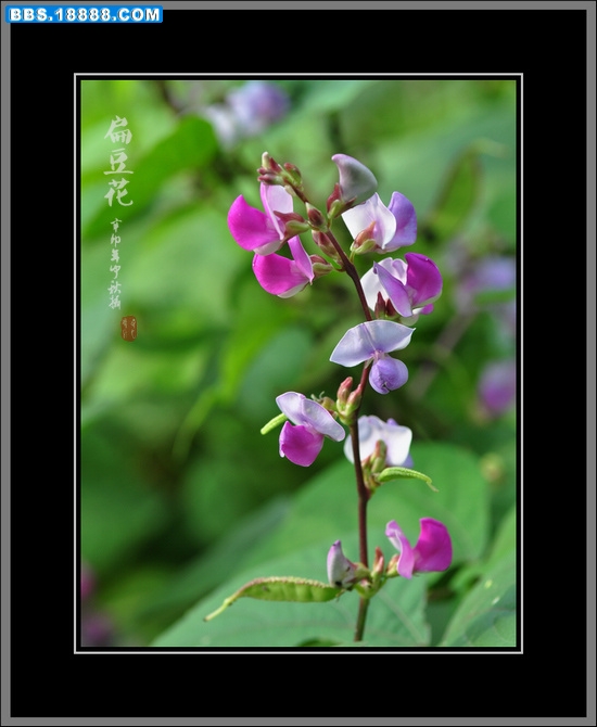 2011.9.14 069.jpg