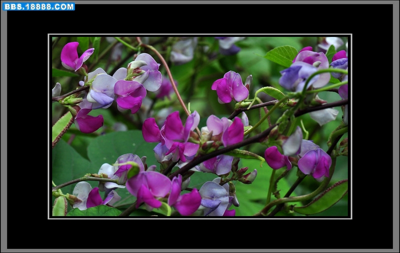 2011.9.14 046.jpg