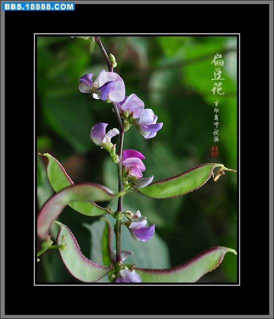 2011.9.14 074.jpg