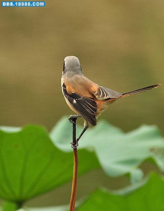 2011.9.25 060.jpg