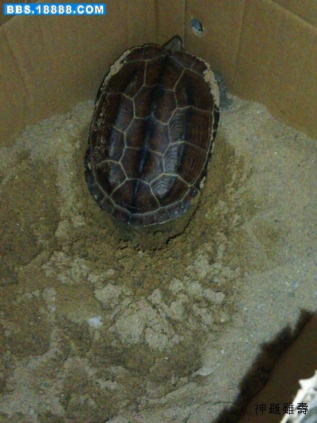 2011-07-06 23.20.39.jpg