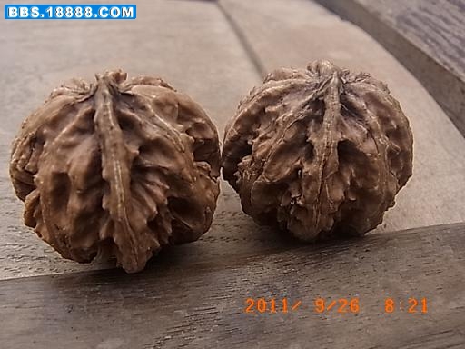 201192683331_e0b352cc.jpg