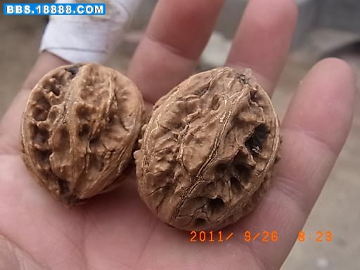 201192683535_d4ec7966.jpg