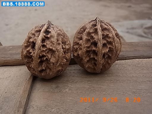 201192683313_9d879f4f.jpg