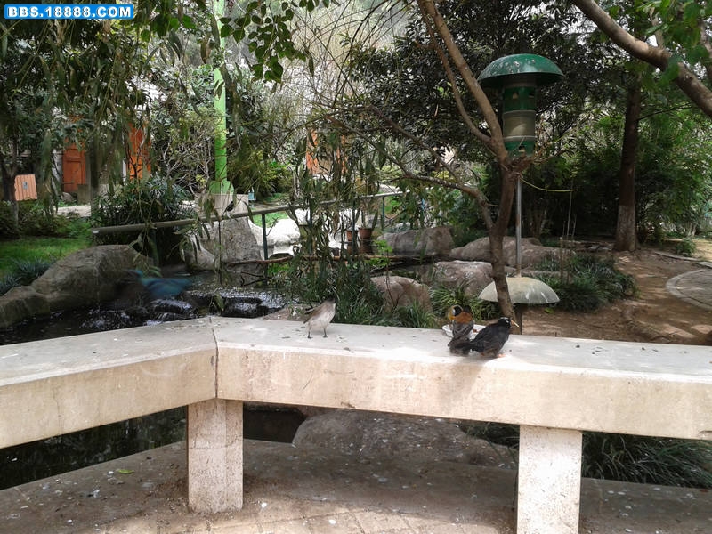 2011-09-12 11.33.41.jpg