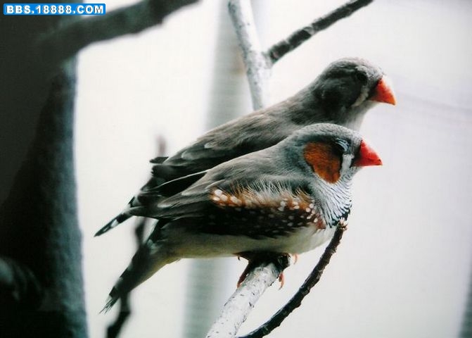 DSCN4308.JPG