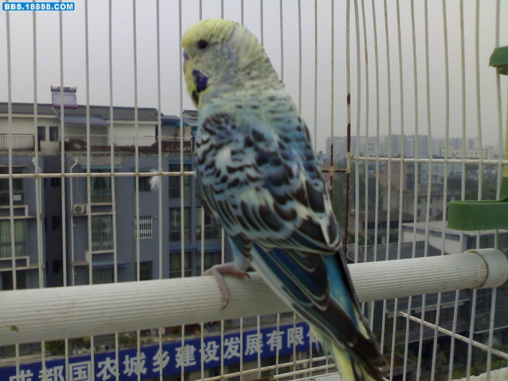 20110925861.jpg