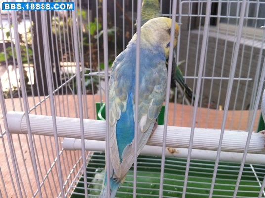 照片 004.jpg