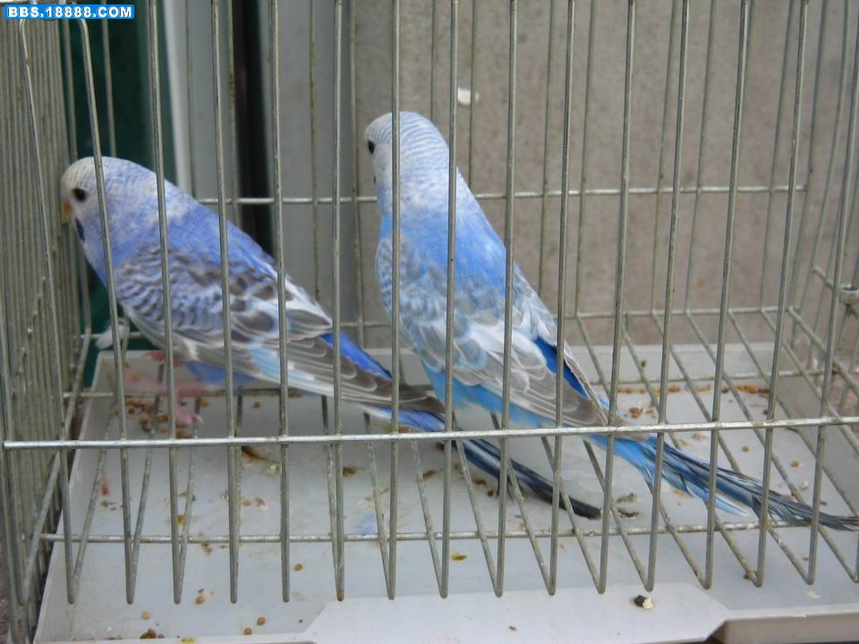 IMG_3744.JPG