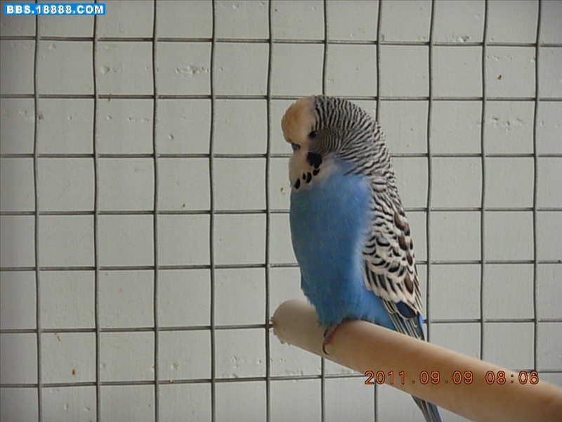 DSCN4237.JPG