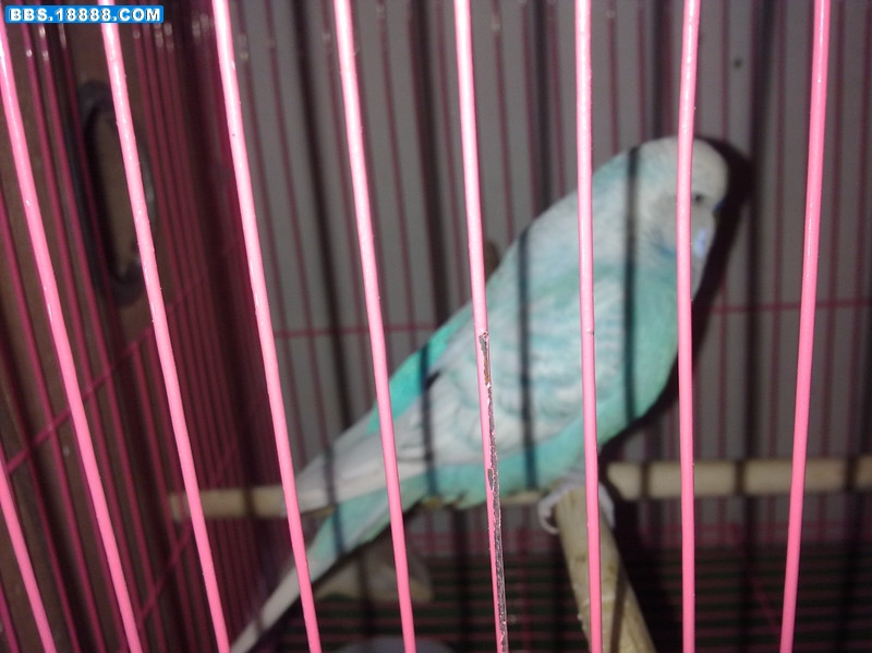 20110903592_副本.jpg