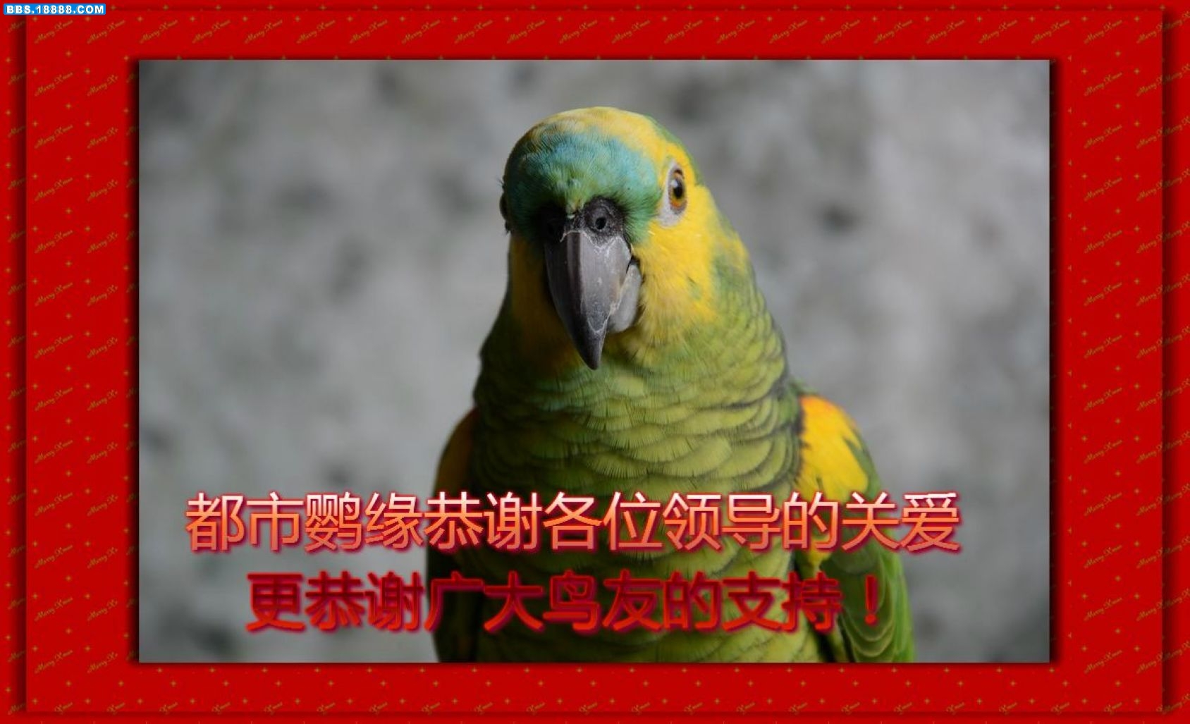 20110804_223430.jpg