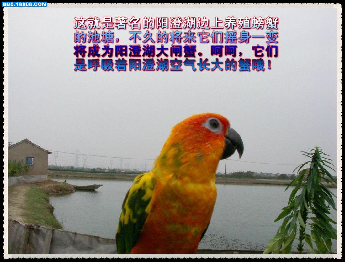 13_副本.jpg