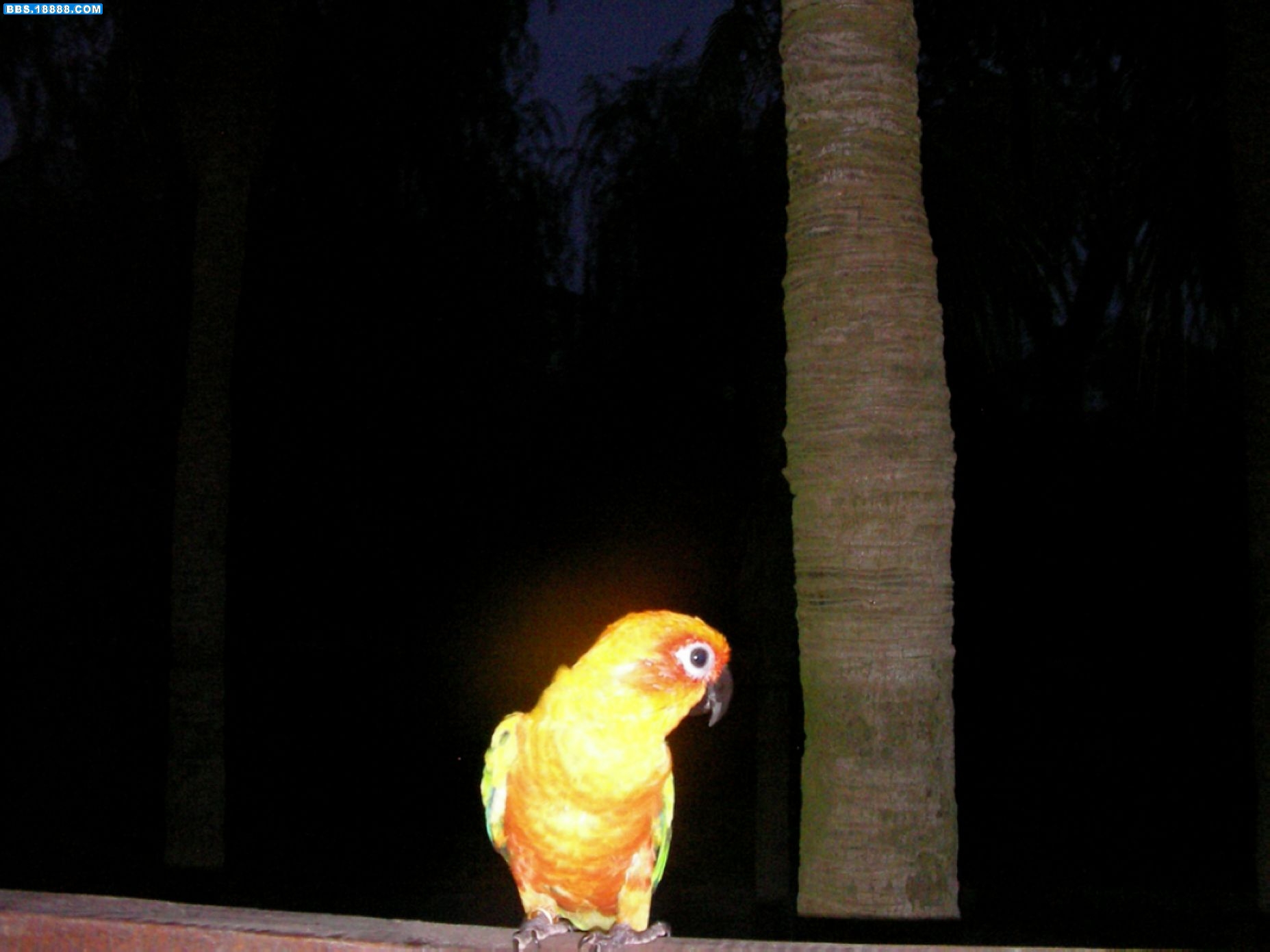 SANY0345.JPG