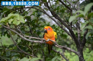 DSC_0110.JPG
