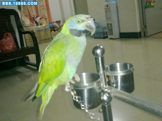 20110917051.jpg