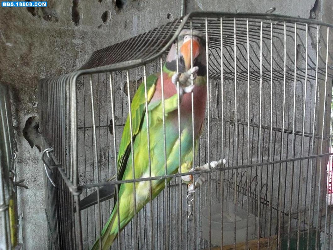 20110921079.jpg