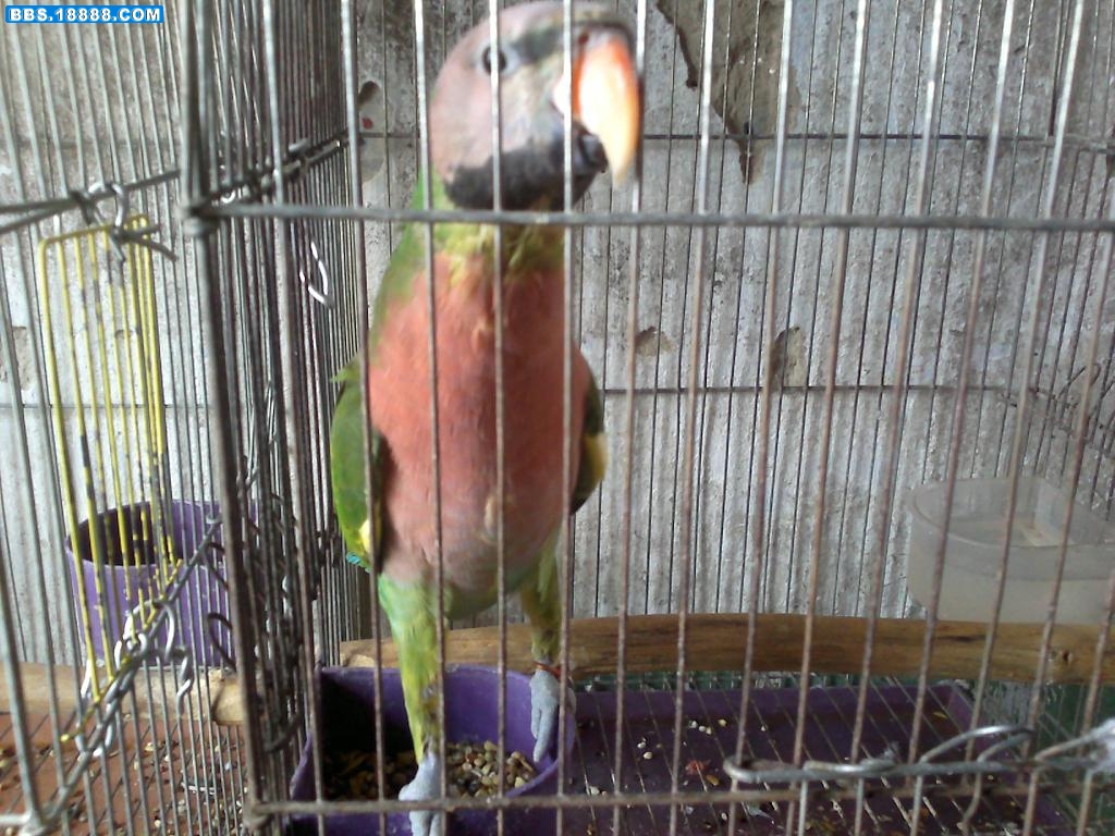 20110921075.jpg