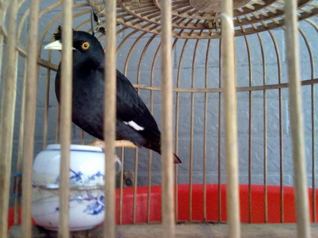 20110901078.jpg