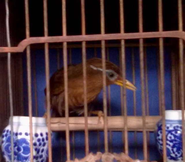 20110901110.jpg