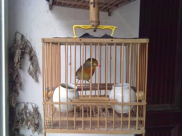 20110901130.jpg
