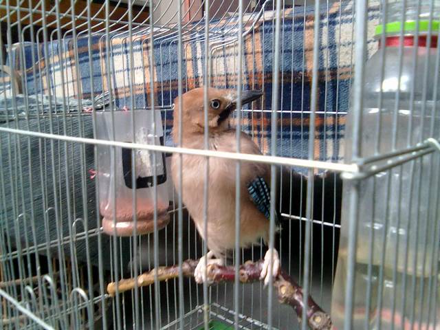 20110901090.jpg