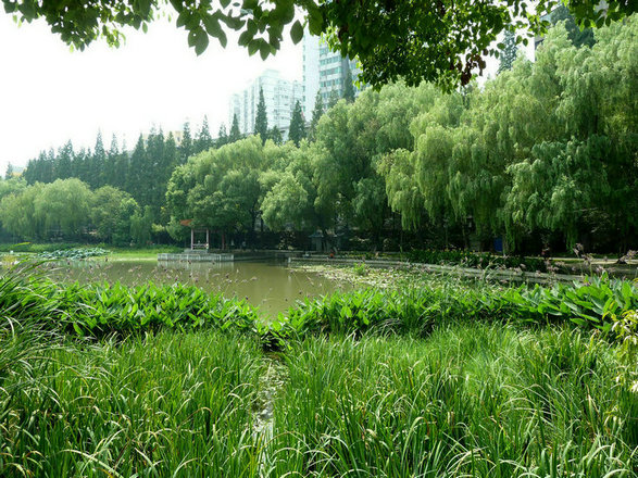 小南湖 070.jpg