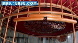 CIMG3663_调整大小.jpg