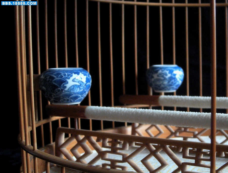 DSCN7390.JPG