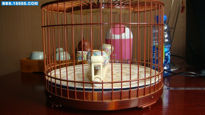 DSC03398_缩小大小.JPG