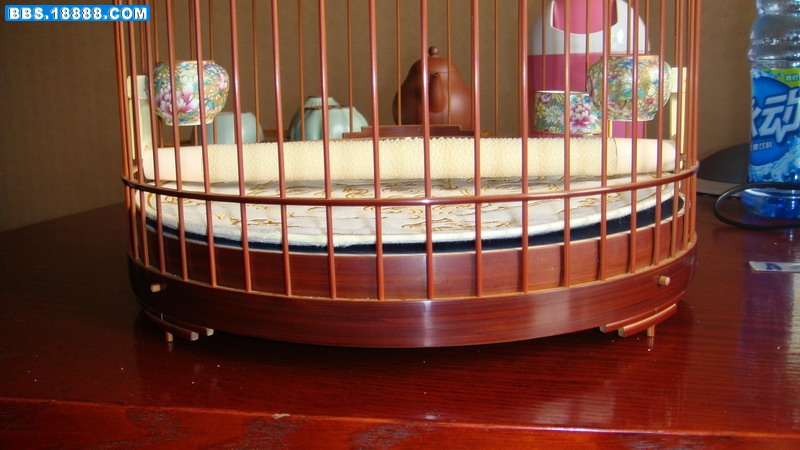 DSC03400_缩小大小.JPG