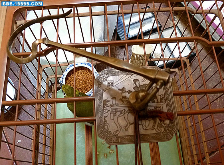 P1050067.JPG