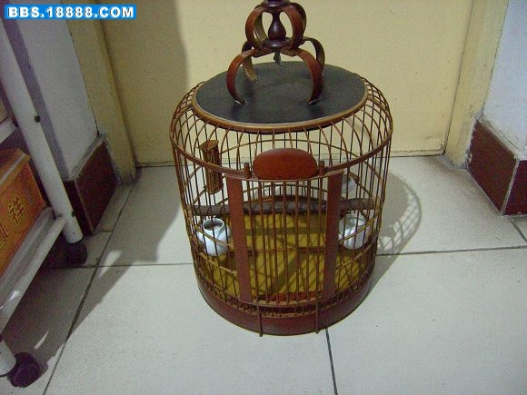 PICT6702.JPG